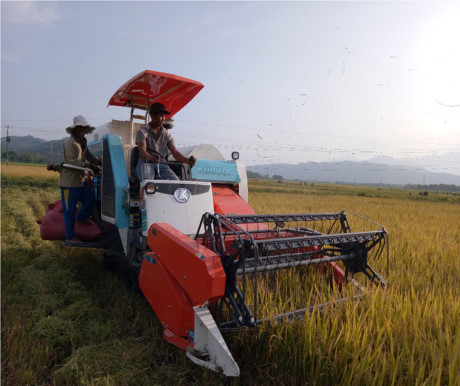 Khánh Hòa: Phấn đấu hoàn thiện đúng lộ trình chương trình Nông thôn mới