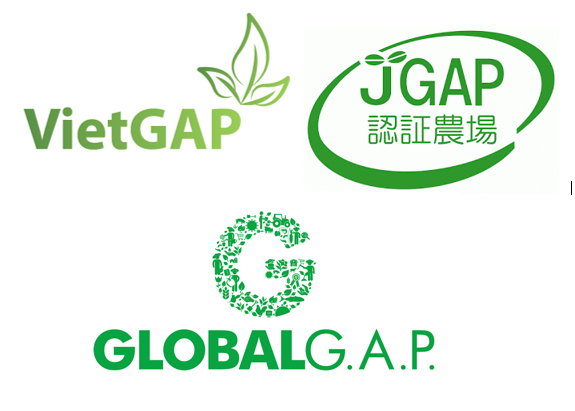 VietGAP có gì khác với JGAP và GlobalGAP ?