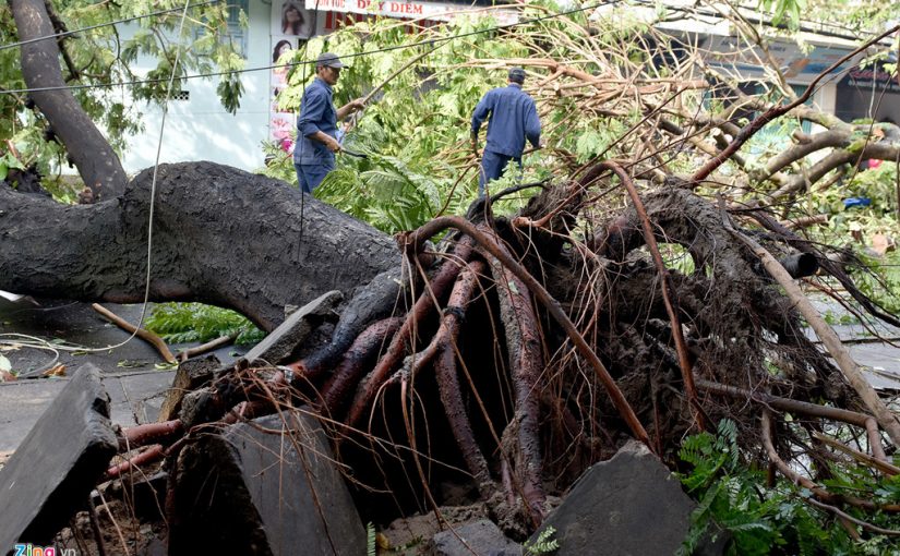 Khánh Hòa thiệt hại hơn 7.000 tỷ đồng do bão số 12
