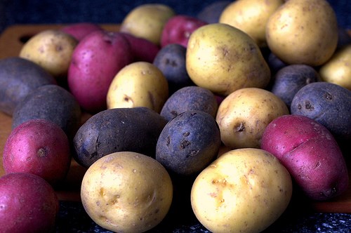 Vén màn bí mật màu sắc tím, đỏ, xanh, đen… của các loại khoai tây