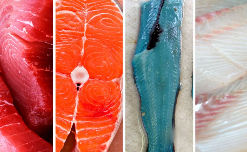 Tại sao thịt cá lại có nhiều màu sắc khác nhau?
