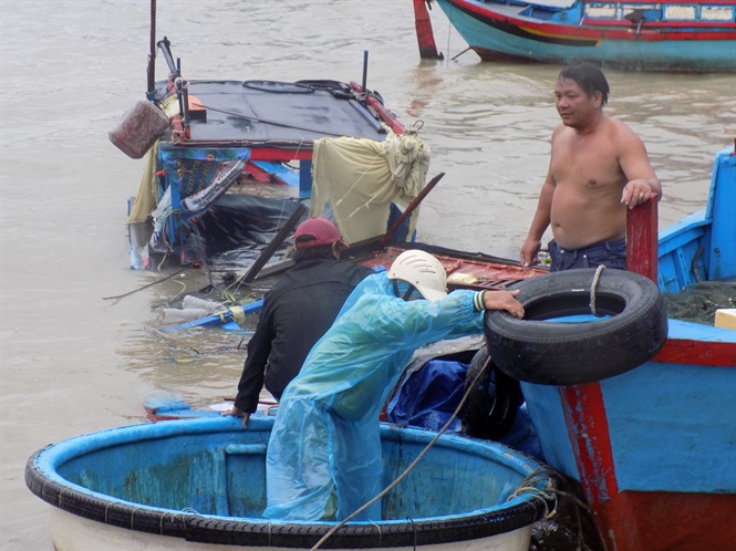 Nông nghiệp thiệt hại nặng nề sau bão số 12