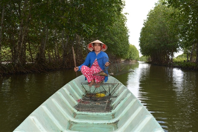 Tôm sinh thái nâng cao vị thế tôm Việt