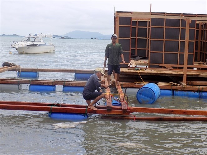 Khôi phục nuôi trồng thủy sản tại Vạn Ninh