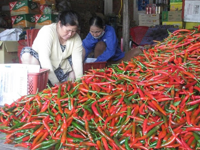 Trái ớt Việt Nam bất ngờ bị Malaysia “chê”