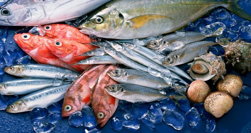 Một số biện pháp để tăng cường sức đề kháng cho động vật thủy sản.